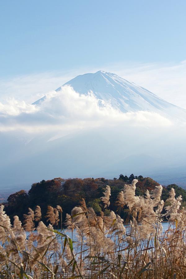 Mt. Fuji Photograph by M. Kurachi