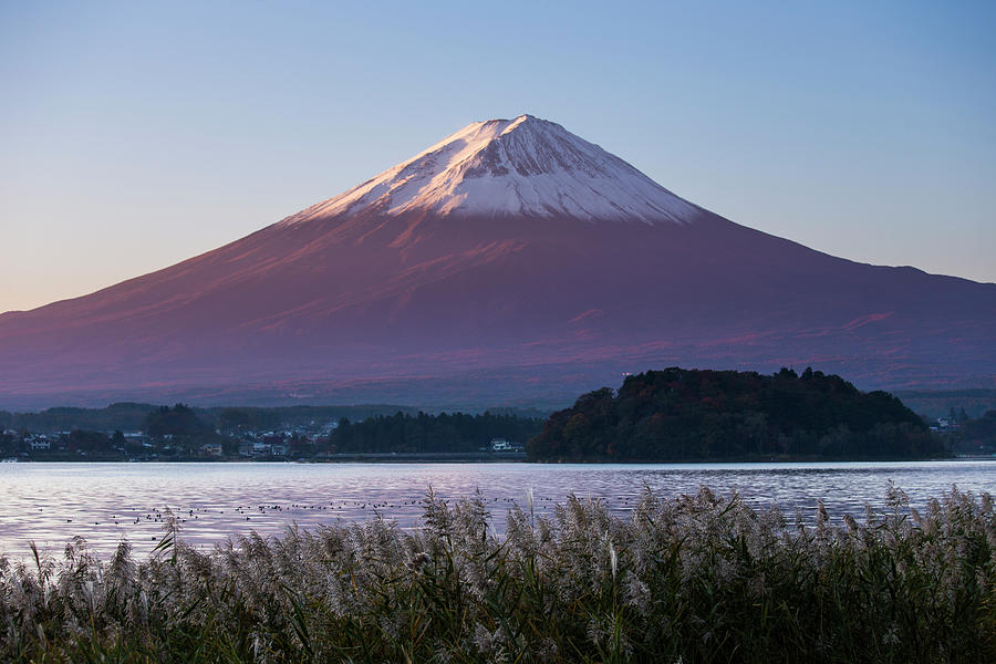 Mt. Fuji Morning Light Photograph by Panithan Fakseemuang