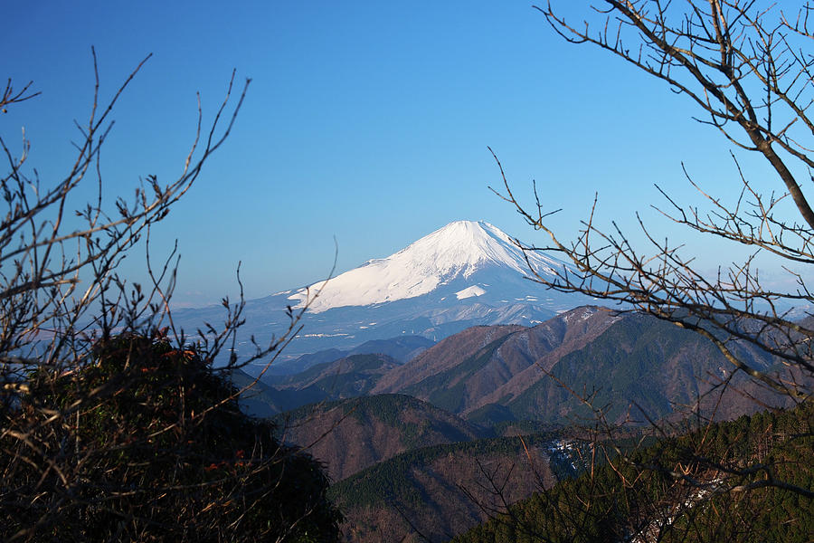 Mt. Fuji View From Tanzawa Range Photograph by Vincent Van Den Storme