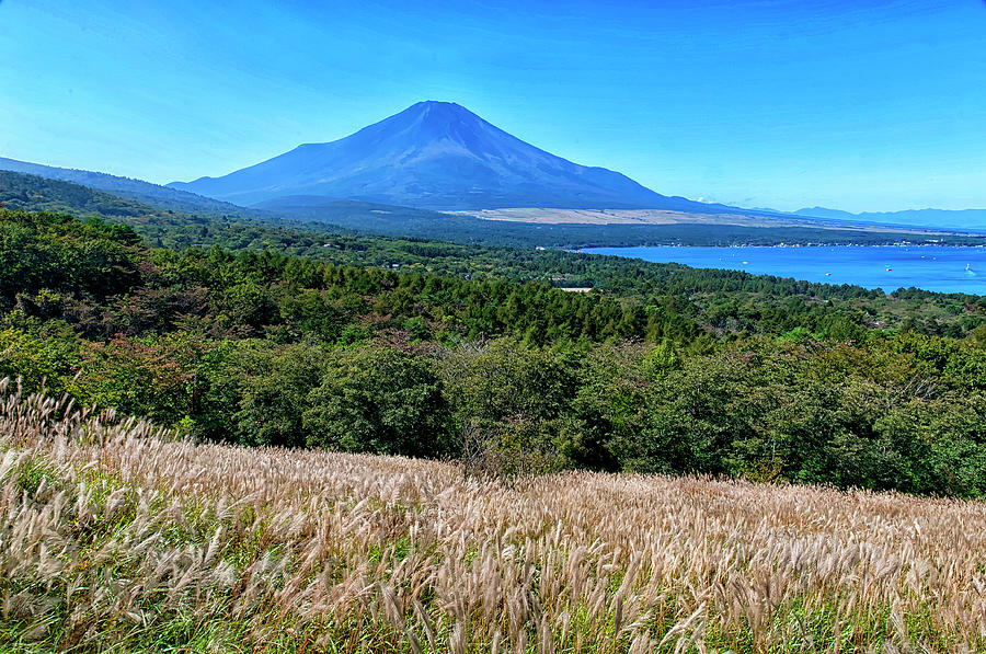 Mt. Fuji View Photograph by I Kadek Wismalana
