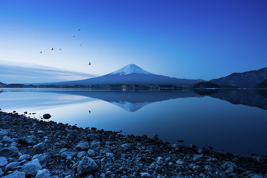 Mt. Fuji With Unknown Birds At by Thanapol Marattana