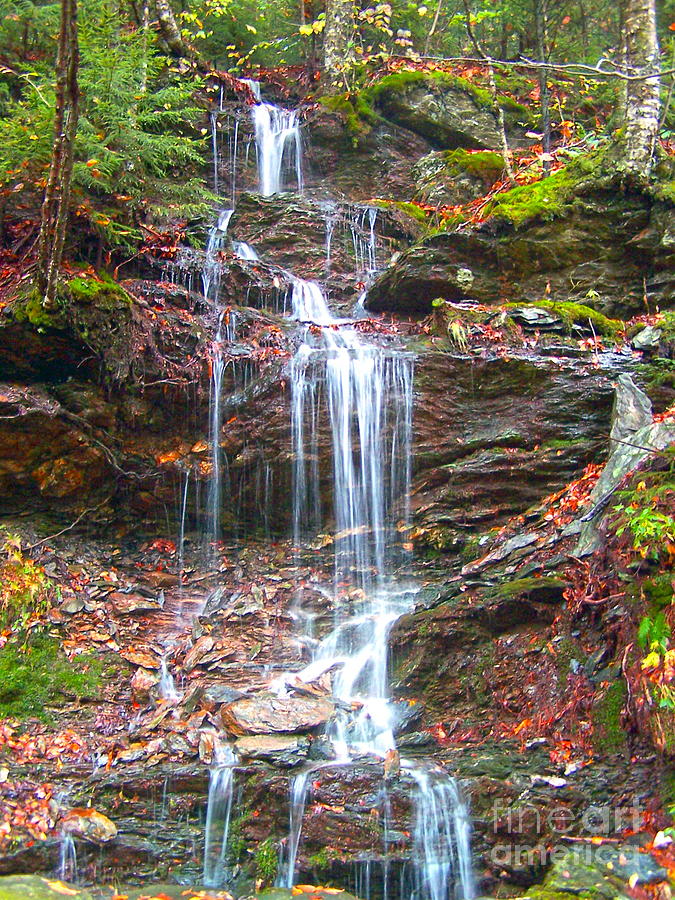 Mt Greylock Waterfall Photograph by SWAMP Online