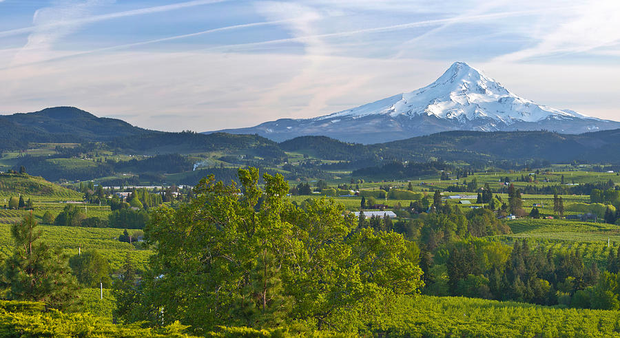 Nature Photograph - Mt Hood And Hood River Valley by Panoramic Images