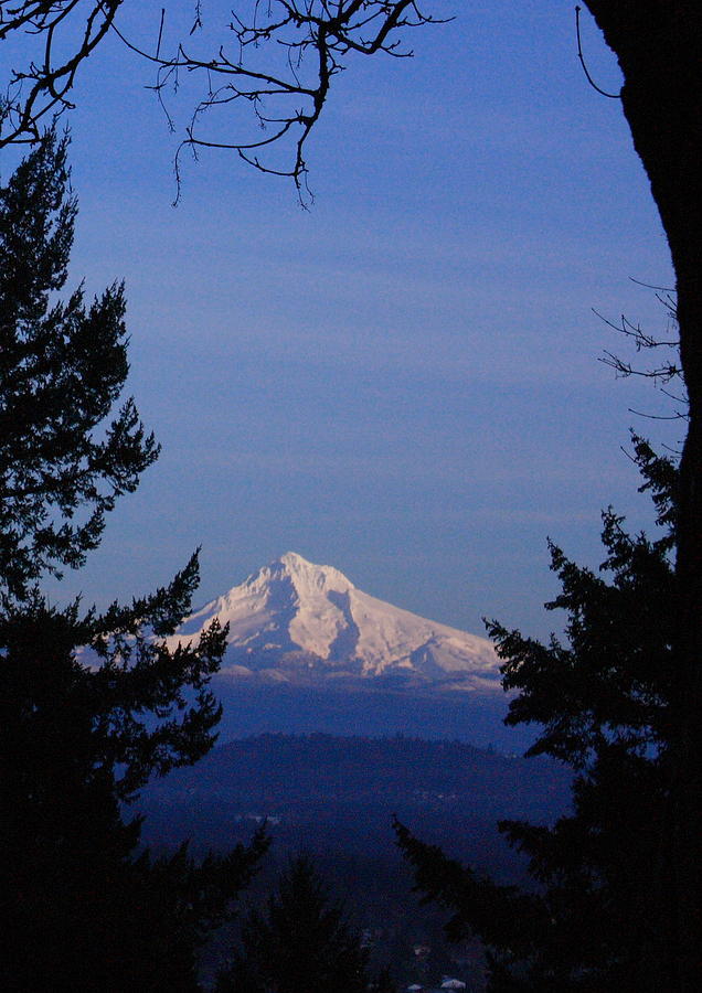 Mt Hood at New Years Photograph by Teresa Herlinger