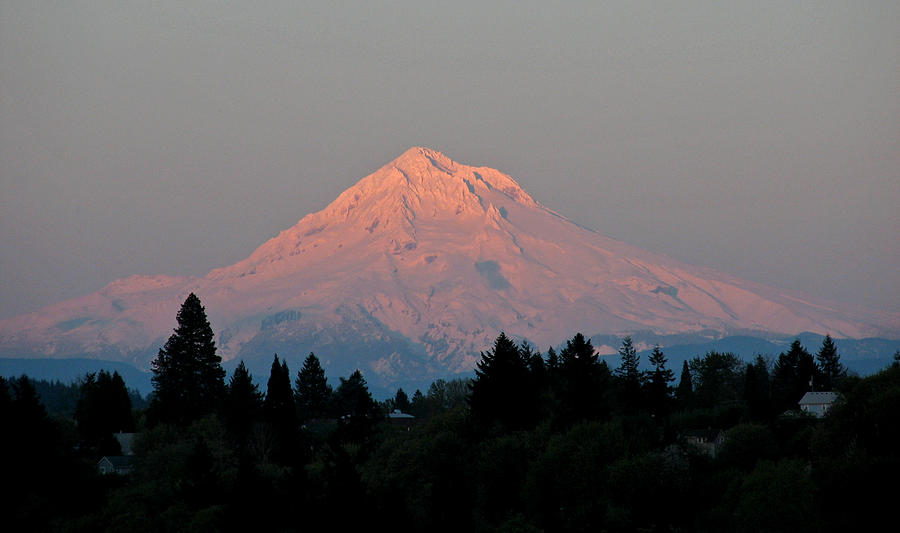 Mt Hood at Sunset Photograph by Eric Mace - Fine Art America