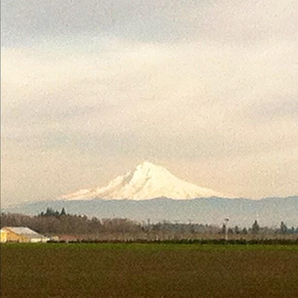 Mt Hood Decided To Show Her Face Today Photograph by Martha Weirich
