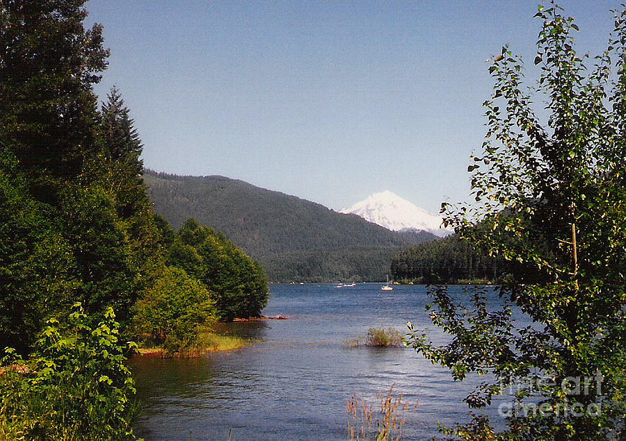 Mt Hood in Distance Photograph by Charles Robinson