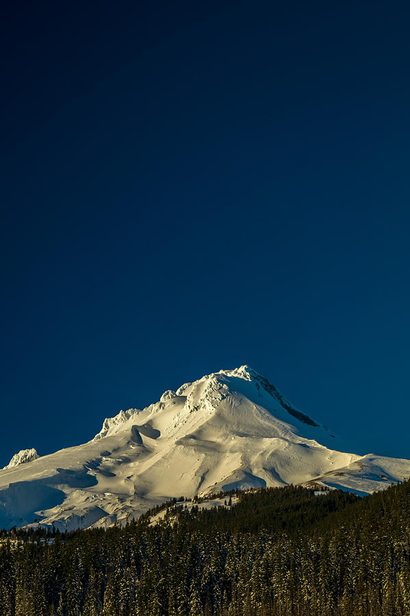 Mt. Hood Poster Photograph by Joe Albee - Fine Art America