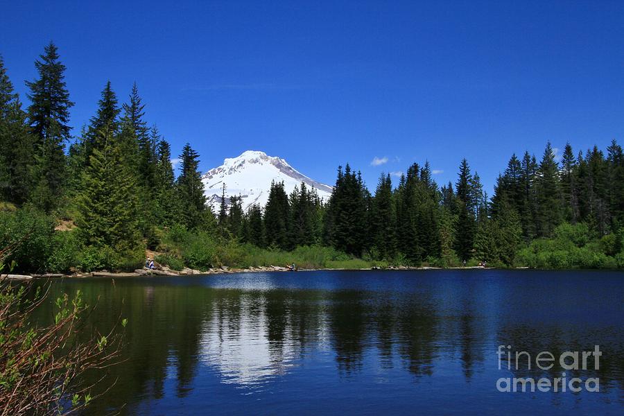 Mt. Hood Reflections Photograph by Terry Matysak - Fine Art America