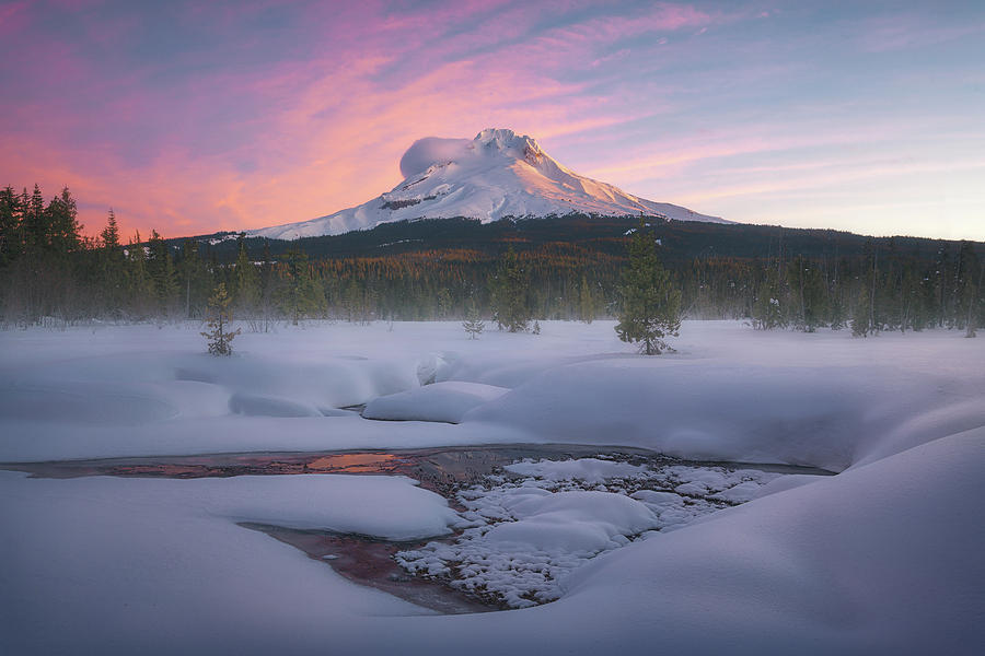 Mt. Hood Winter Sunrise Photograph by Steve Schwindt