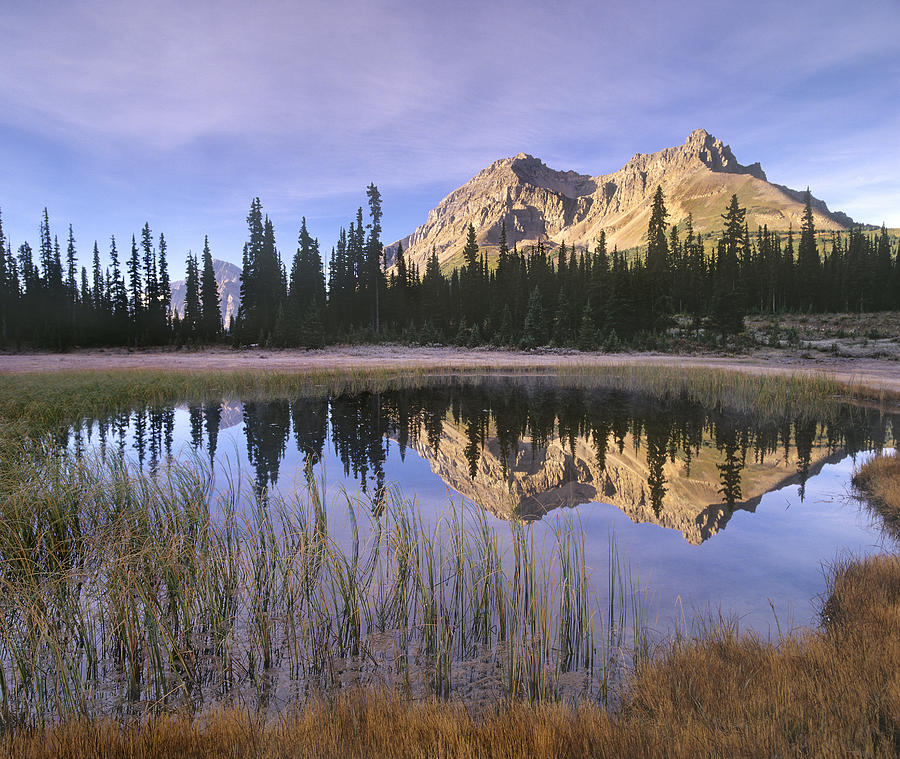 Mt Jimmy Simpson Reflection Banff Photograph by Tim Fitzharris