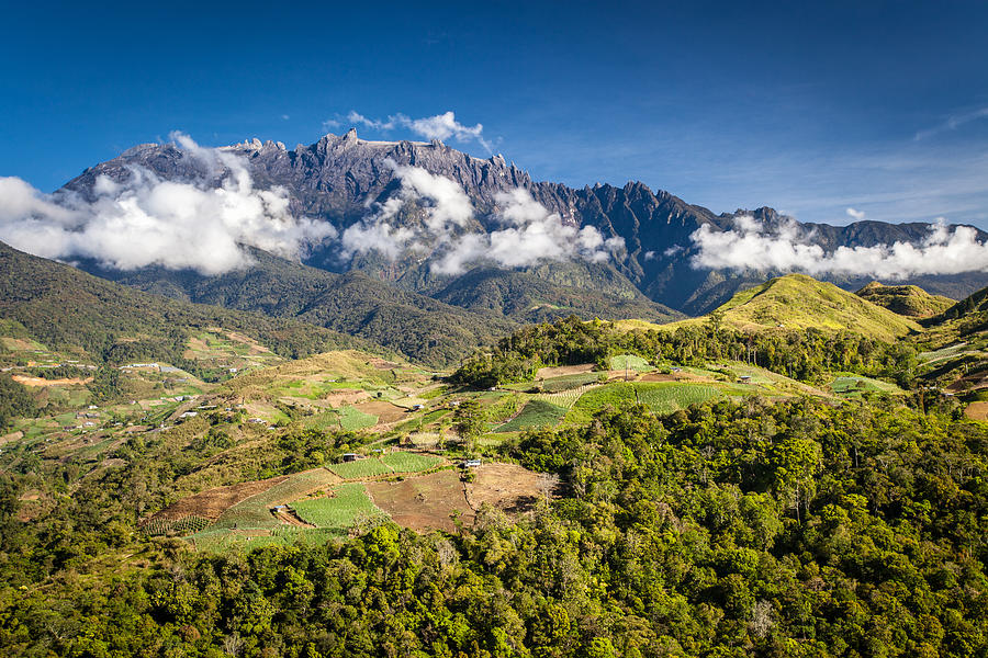 Mt. Kinabalu - the highest mountain in Borneo Photograph by Veronika ...