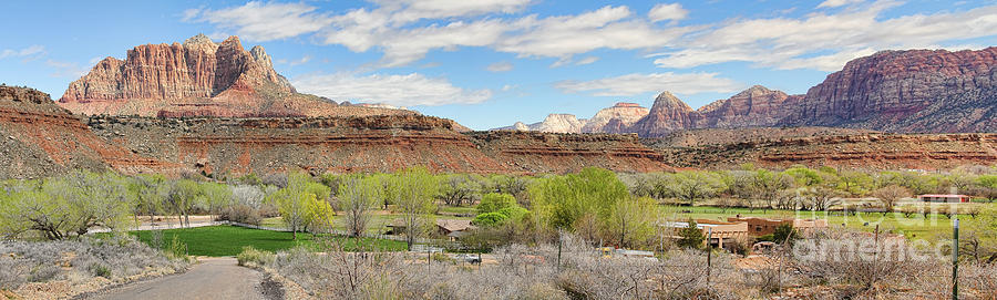 Mt Kinesava and Zion National Park Photograph by Jack Schultz
