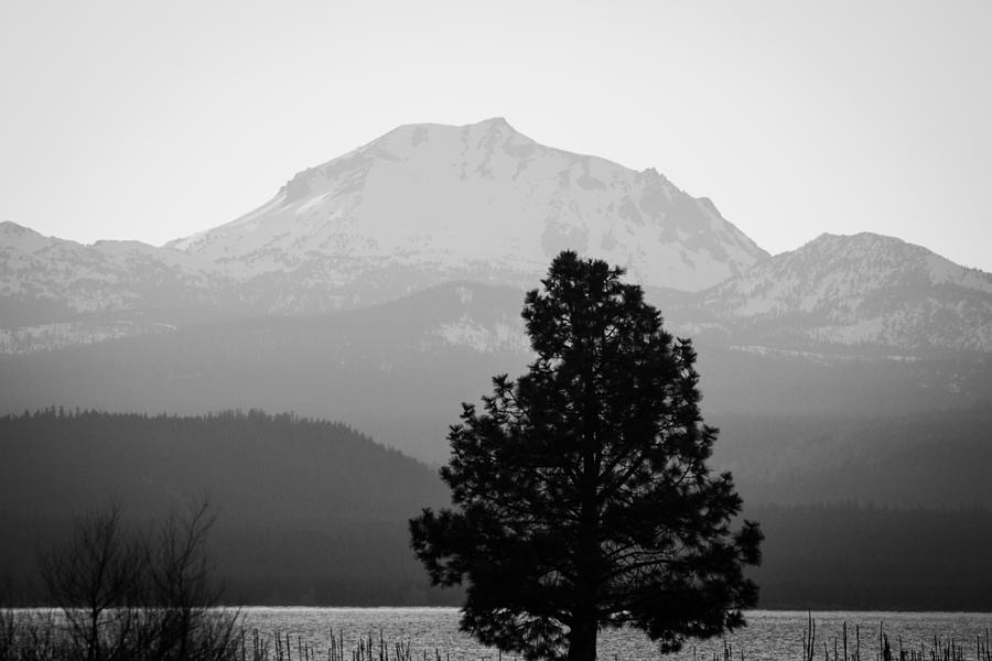 Mt. Lassen with Tree Photograph by Jan Davies