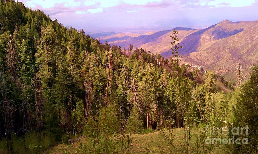 Mt. Lemmon Vista Photograph by Robert ONeil