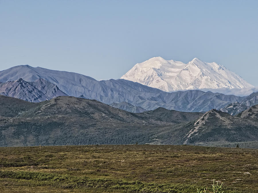 Denali National Park Photograph - Mt. McKinley aka Denali by Phyllis Taylor