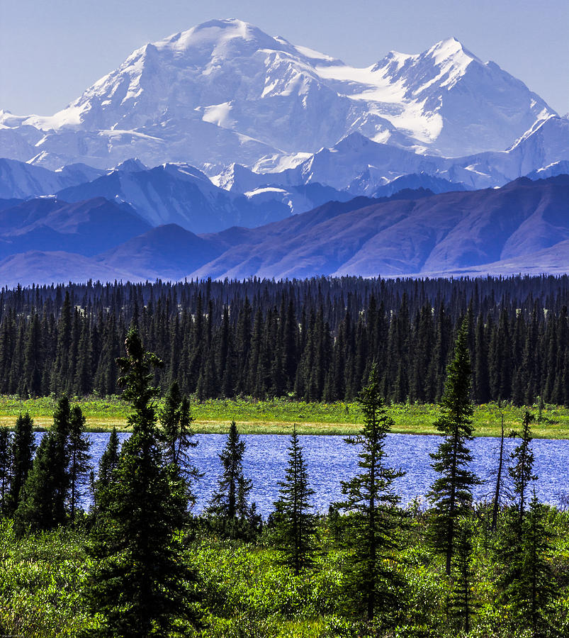 Nature Photograph - Mt McKinley from Cantwell by Shaleen Holmes