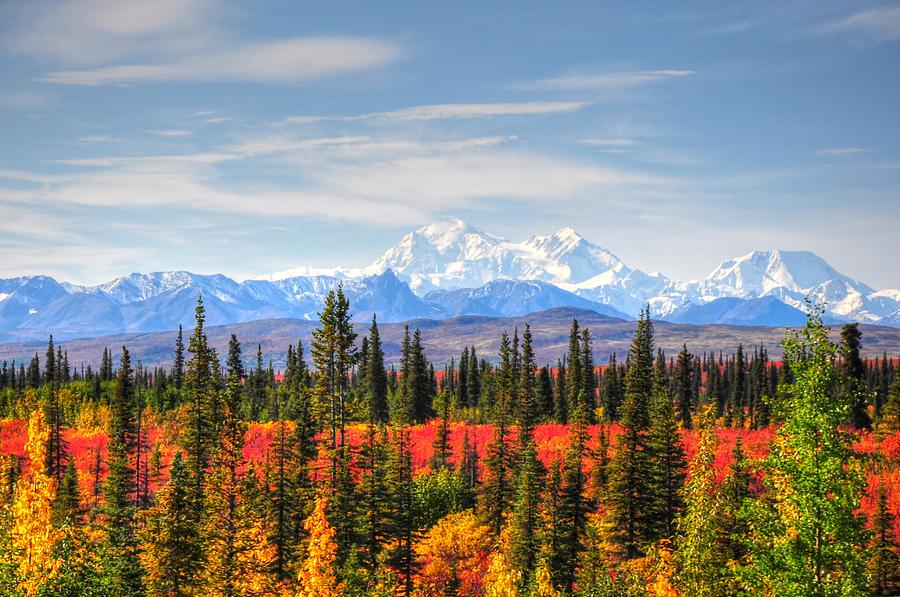Mt McKinley in the Autumn - Alaska Photograph by Bruce Friedman