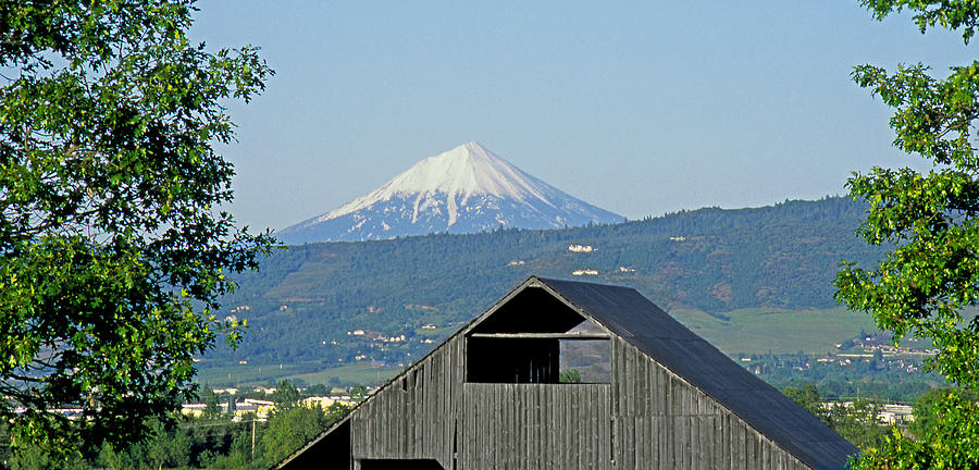 M-A5612-Mt. McLoughlin and Barn Photograph by Ed  Cooper Photography