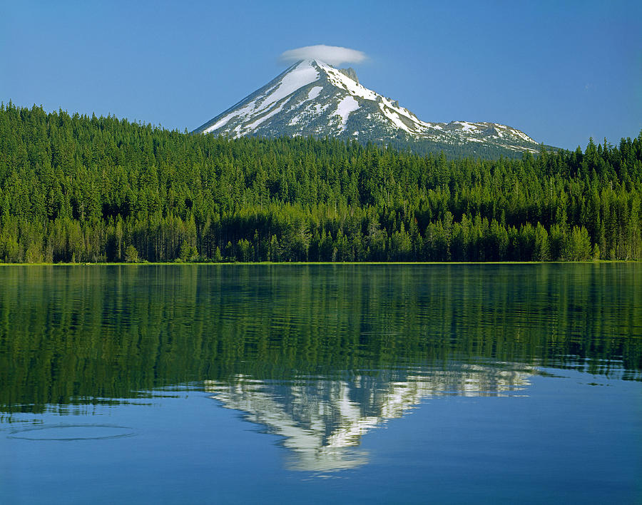 1M5705-H-Mt. McLoughlin from Lake of the Woods Photograph by Ed  Cooper Photography