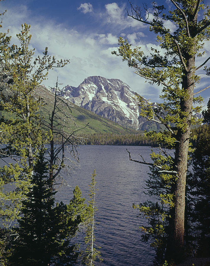 Grand Teton National Park Photograph - 1M9226-Mt. Moran and Jenny Lake, WY by Ed  Cooper Photography