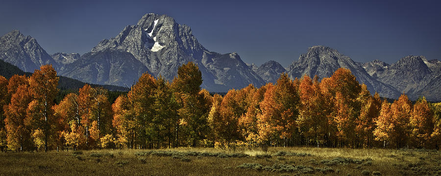 Mountain Photograph - Mt. Moran by Donna  Futrell