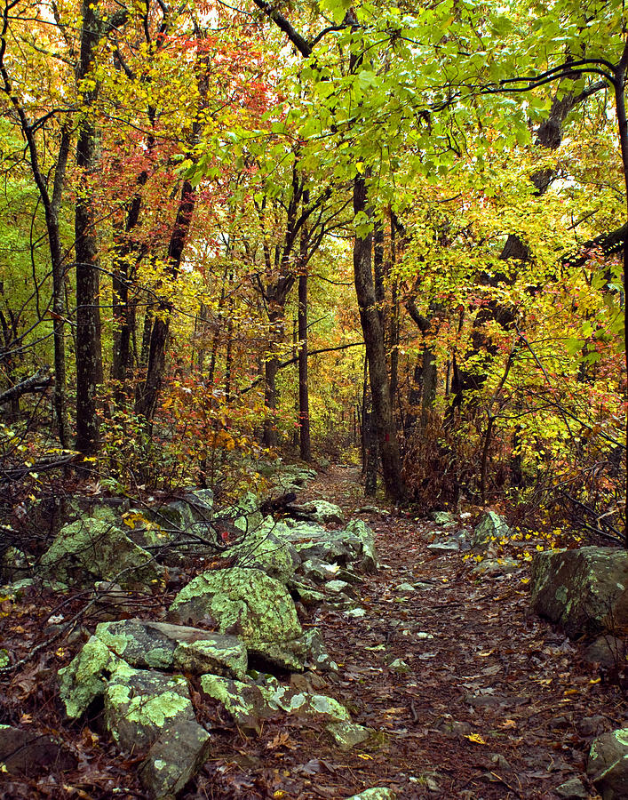 Mt. Nebo Photograph by Cheryl Stephenson - Fine Art America