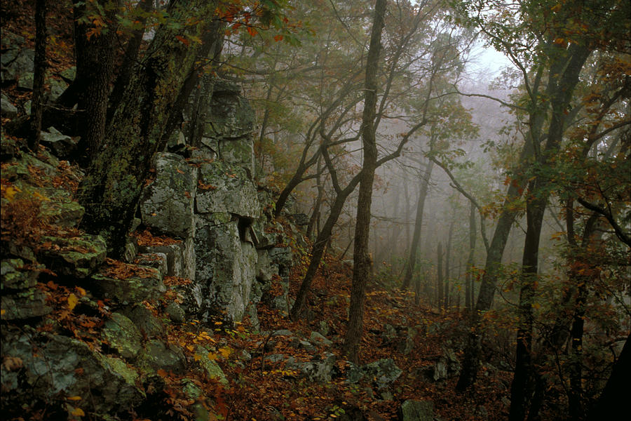 mt nebo mtb trails