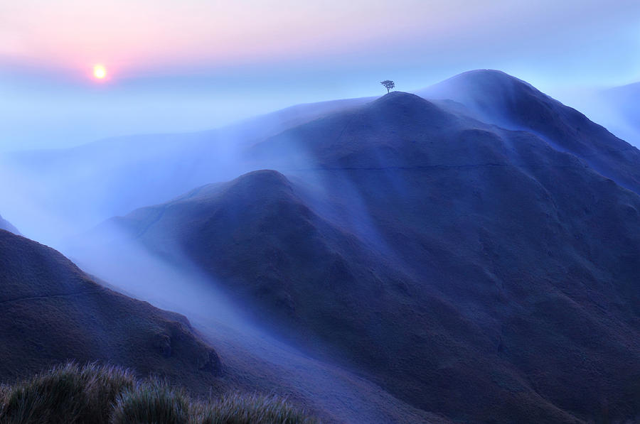 Nature Photograph - Mt. Pulag by Edwin Verin