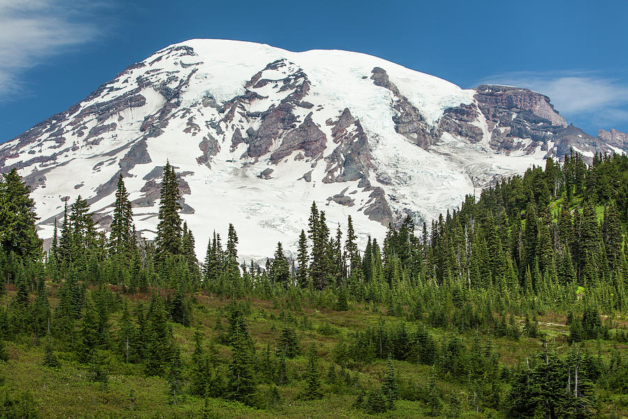 Mt Rainer And Forested Moraines As Seen Photograph by Michael Qualls ...