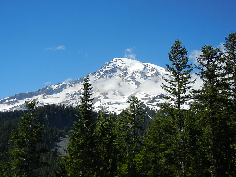 Mt. Rainier Photograph by Losano Family