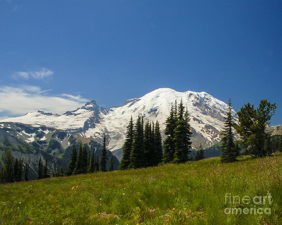 Mt. Rainier Alpine Meadow II Photograph by Chuck Flewelling
