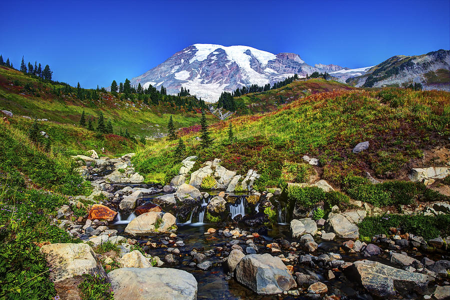 Mt. Rainier and Creek Photograph by Shawn Everhart