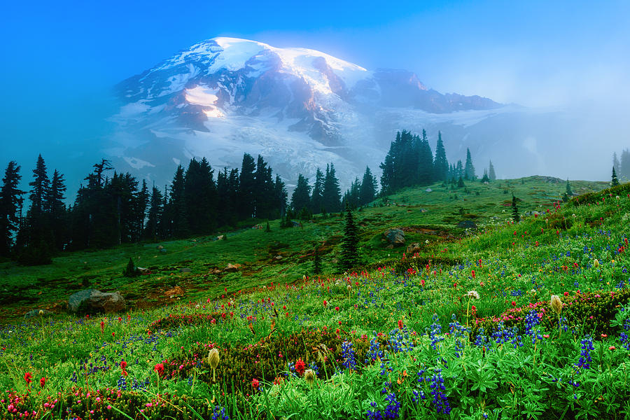Mt. Rainier and Wildflowers Photograph by Chris McKenna