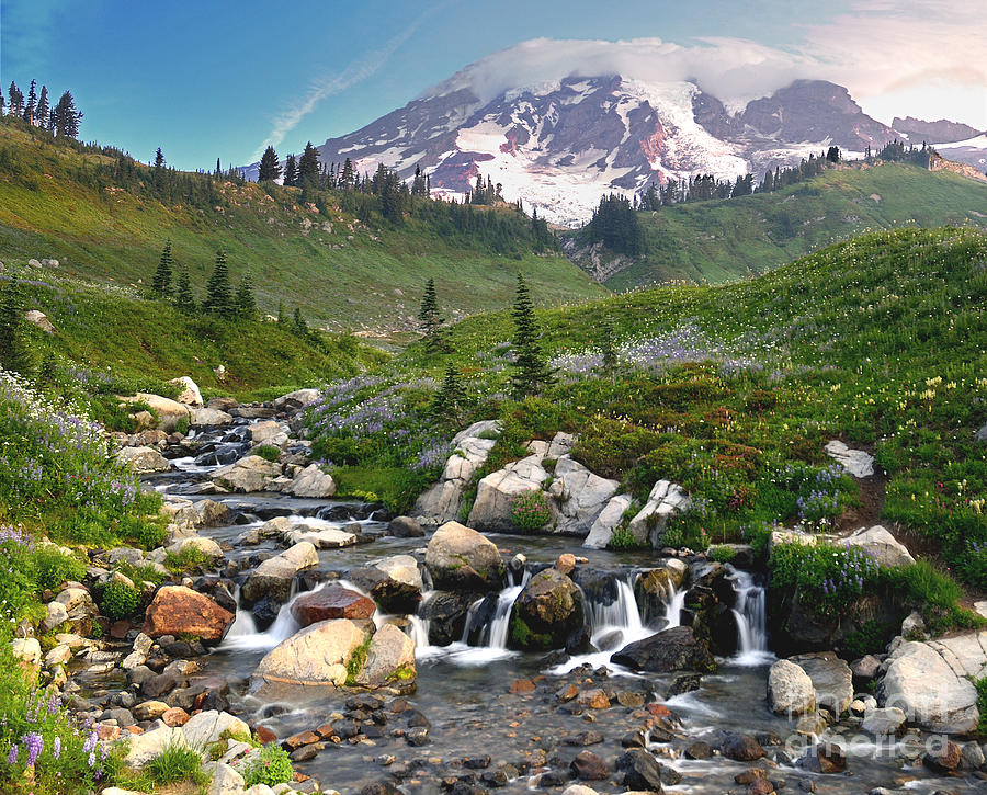 Mt. Rainier At Edith Creek Photograph by Jim Chamberlain