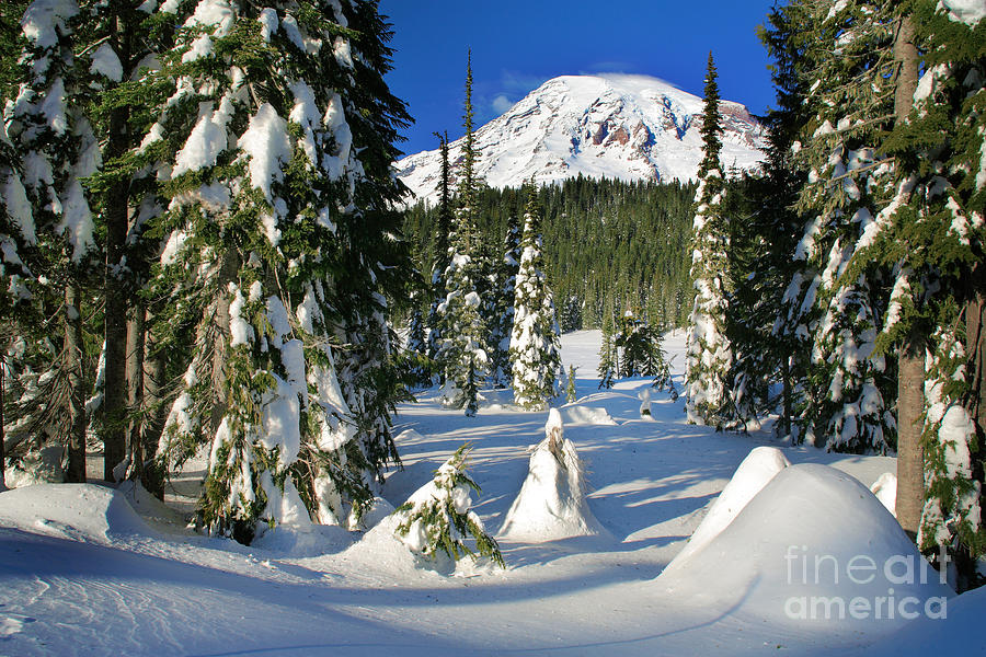 Mt Rainier at Reflection Lakes in Winter Photograph by Inge Johnsson