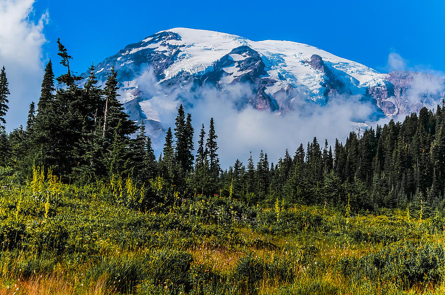 Mt. Rainier Photograph by Chris McKenna
