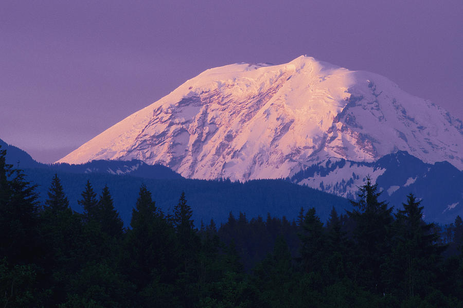Mt. Rainier Photograph by Comstock