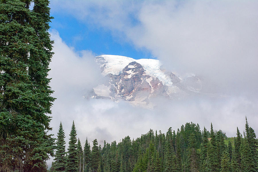 Mt Rainier Framed bu trees Photograph by Randall Branham