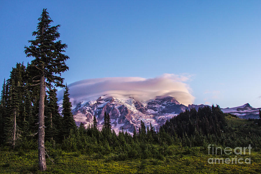 Mt. Rainier from Paradise Lodge Photograph by Sonya Lang