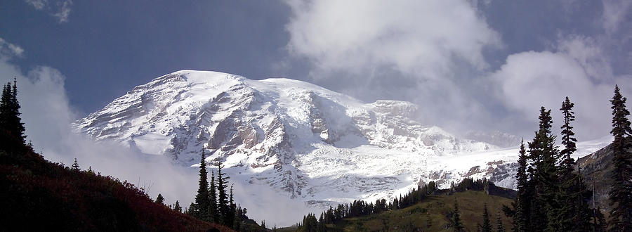 Mt Rainier  Photograph by Greg Reed