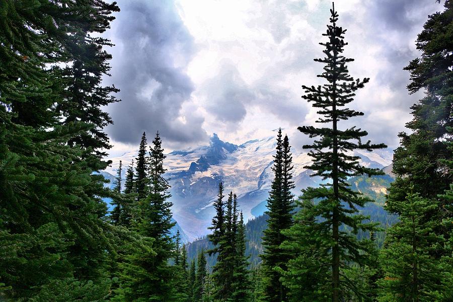 Mt Rainier Photograph by Lynn Hopwood