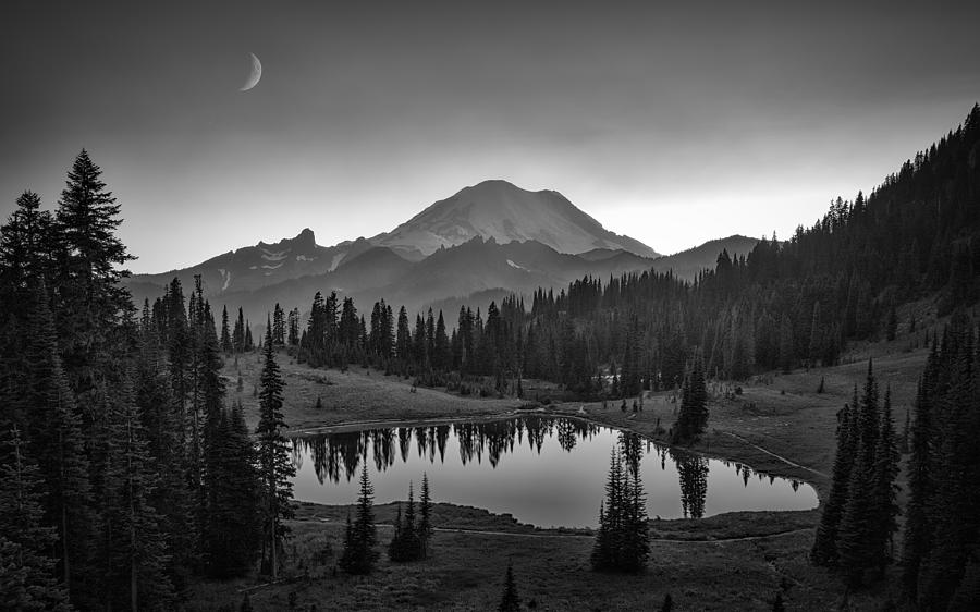 Tree Photograph - Mt. Rainier by Michael Zheng