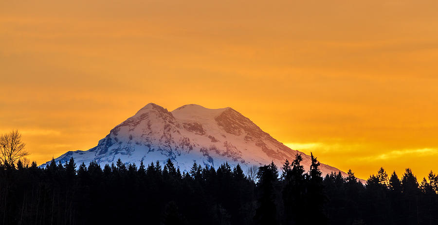 Mt Rainier Morning Photograph by Ken Stanback