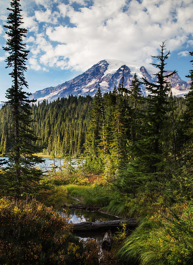 Mt Rainier National Park Photograph by Angie Vogel