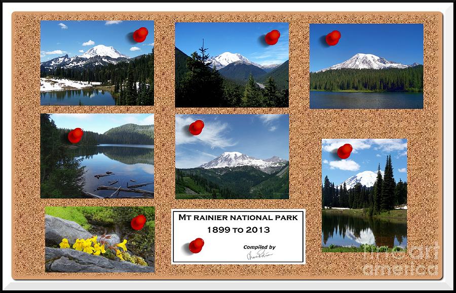 Mt Rainier National Park Collage #1 Photograph by Charles Robinson