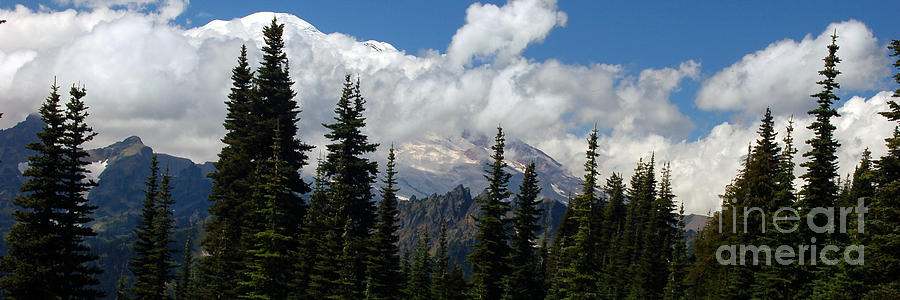 Mt. Rainier Panorama III  Photograph by Chuck Flewelling