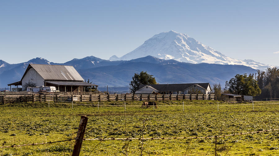 Mt Rainier Ranch Photograph by Tony Locke