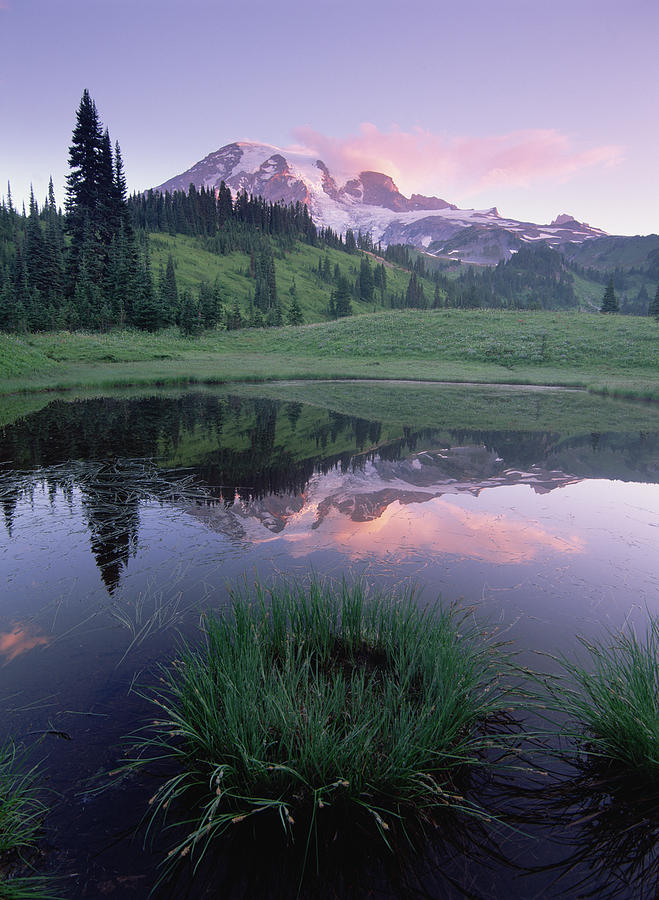 Mt Rainier Reflected In Lake Washington Photograph by Tim Fitzharris
