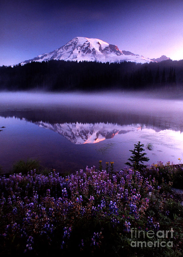 Mt. Rainier With Reflection Photograph by Art Wolfe